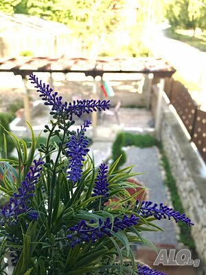 image_30