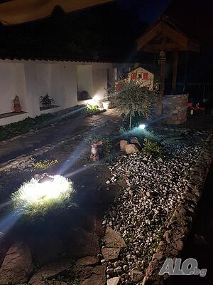 image_11