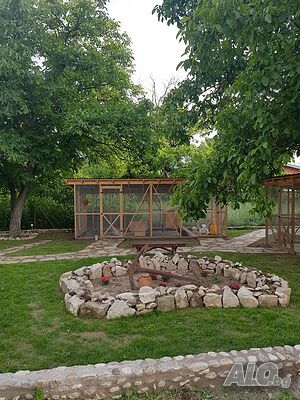 image_13