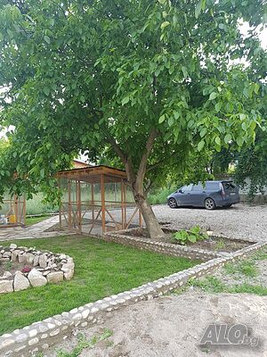 image_14