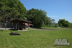 image_6