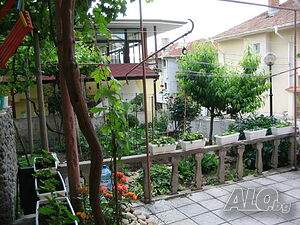 image_2