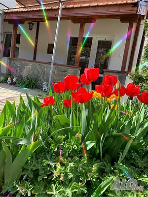 image_28