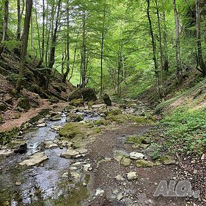 image_34