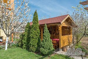 image_31