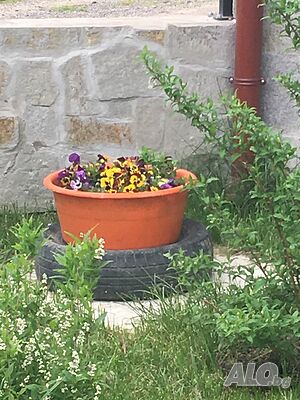 image_18