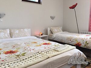 image_11