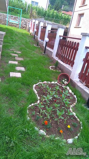 image_20