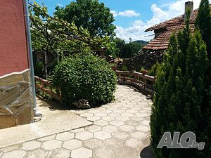 image_3