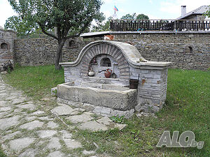 image_6