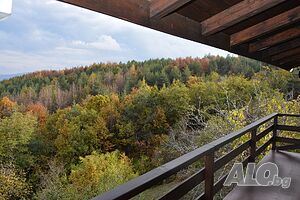 image_18