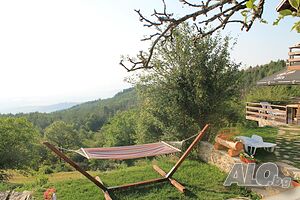 image_22