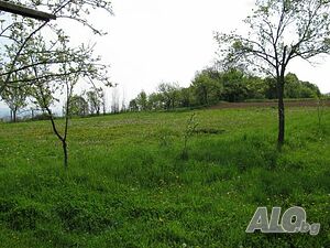 image_7