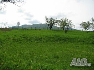 image_6