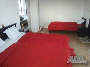image_6
