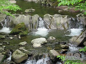 image_8