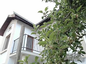 image_6