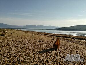 image_23