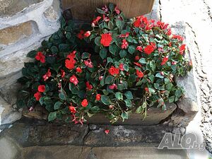 image_57