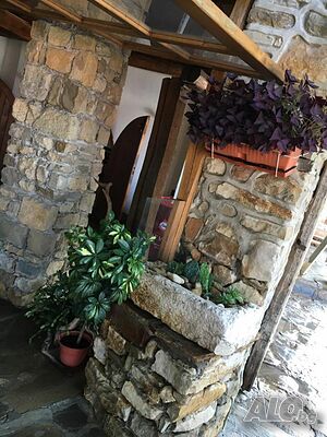 image_66
