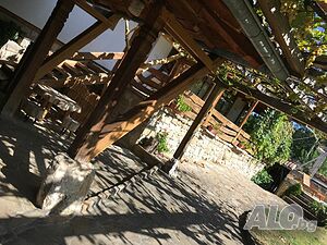 image_96