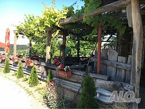 image_91