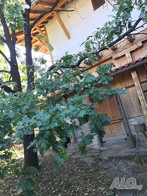 image_77