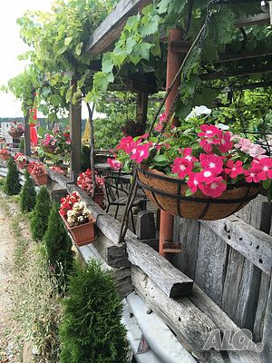 image_85