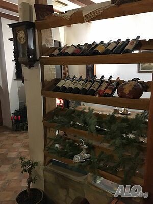 image_81