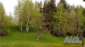 image_27