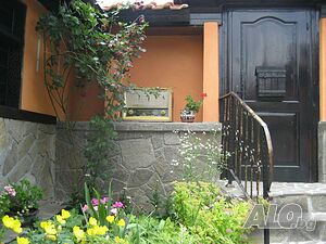 image_11