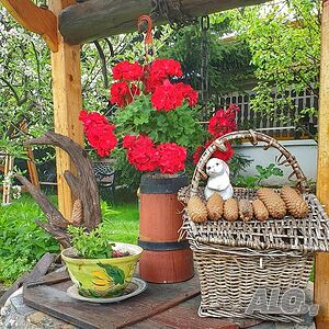 image_67