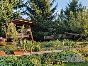 image_63