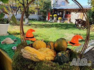 image_55