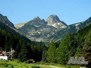 image_43