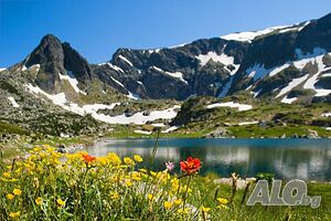 image_38