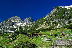 image_31