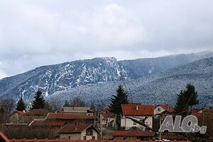 image_29