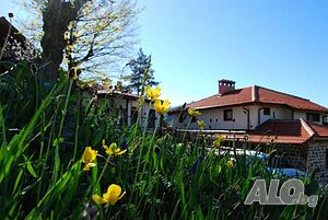 image_22