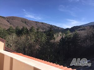 image_7
