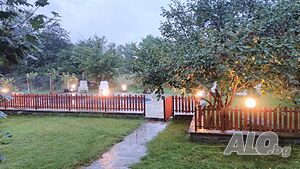 image_21