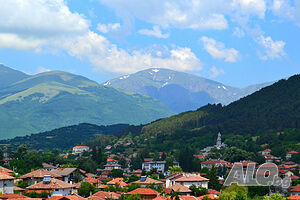 image_23