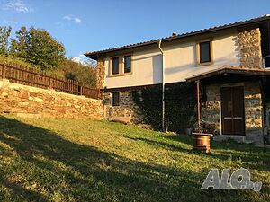 image_3