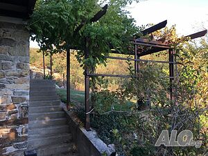 image_6