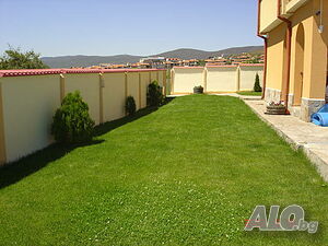 image_5