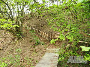 image_6