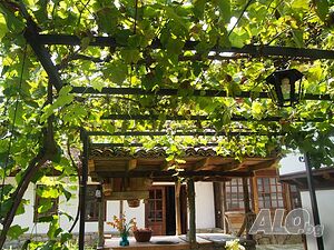 image_8