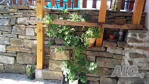 image_23