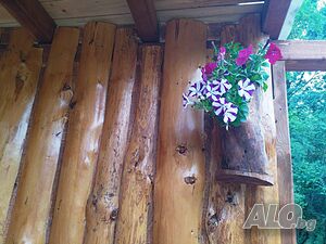 image_33