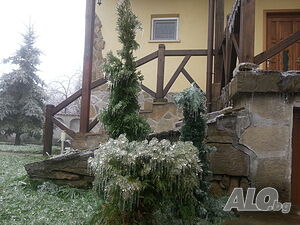 image_37